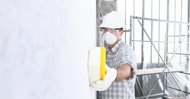 Best Biohazard Mold Removal  in USA